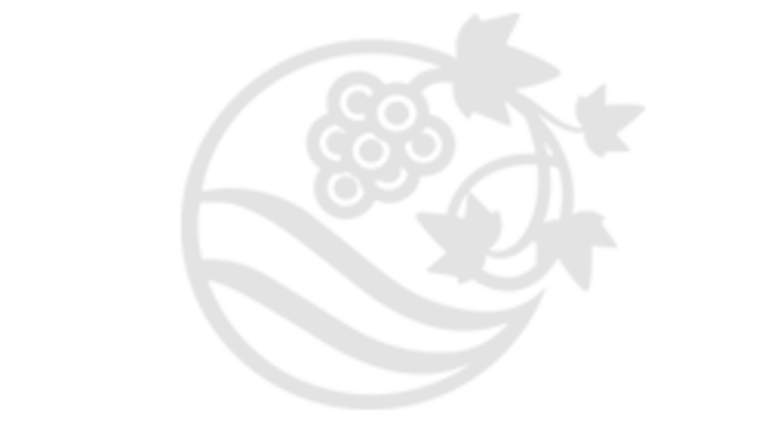 Vinarija Živanovic-logo